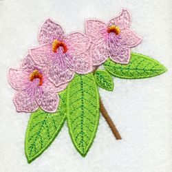 Washington Bird And Flower 01 machine embroidery designs