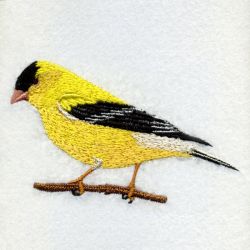 Washington Bird And Flower 02 machine embroidery designs