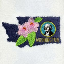 Washington Bird And Flower 06 machine embroidery designs