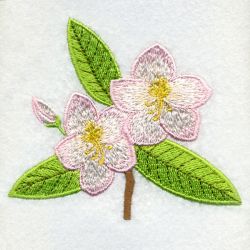 West Virginia Bird And Flower machine embroidery designs