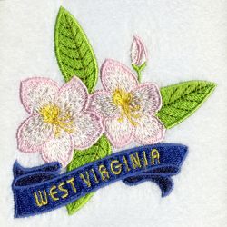 West Virginia Bird And Flower 07 machine embroidery designs