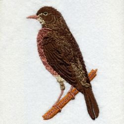 Wisconsin Bird And Flower 02 machine embroidery designs