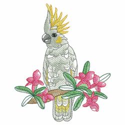 Watercolor Tropical Birds 02(Md) machine embroidery designs
