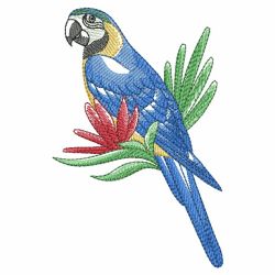 Watercolor Tropical Birds 04(Md) machine embroidery designs