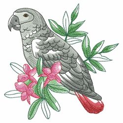 Watercolor Tropical Birds 06(Lg) machine embroidery designs