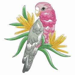 Watercolor Tropical Birds 09(Md) machine embroidery designs