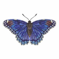 Realistic Butterfly 04 machine embroidery designs