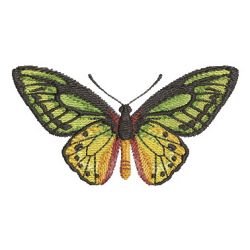 Realistic Butterfly 06