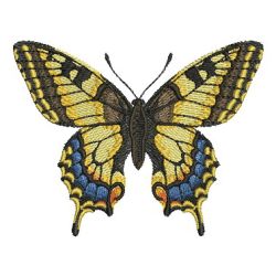 Realistic Butterfly 07