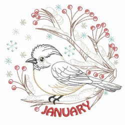 Vintage Birds Of The Month(Md) machine embroidery designs