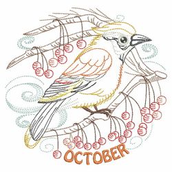 Vintage Birds Of The Month 10(Md)