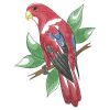 Watercolor Tropical Birds 10(Lg)