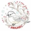 Vintage Birds Of The Month(Lg)