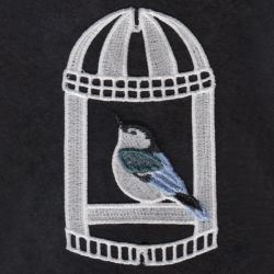 3D FSL Birdcage 11