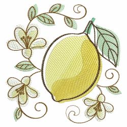 Watercolor Fruit(Lg) machine embroidery designs