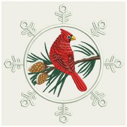 Winter Cardinal 04