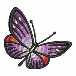 Butterflies 04