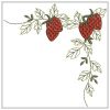 Heirloom Strawberries 02