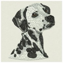 Dalmatians 02