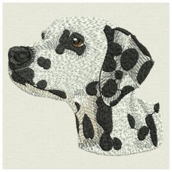 Dalmatians 03