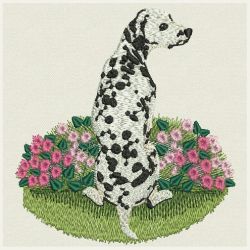 Dalmatians 04 machine embroidery designs