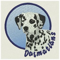 Dalmatians 08