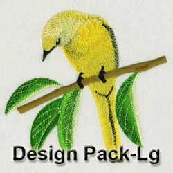 Long Tailed Minivet 1(Lg) machine embroidery designs