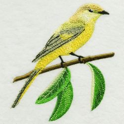 Long Tailed Minivet 1 01(Lg) machine embroidery designs