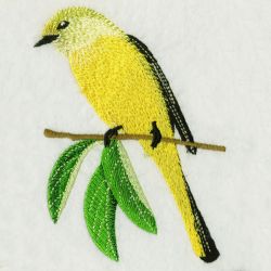 Long Tailed Minivet 1 05(Lg) machine embroidery designs