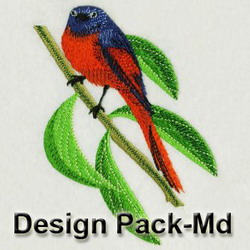 Long Tailed Minivet 2(Md) machine embroidery designs