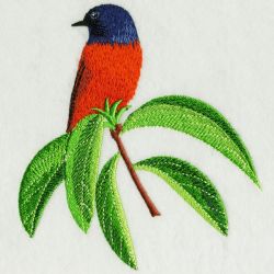 Long Tailed Minivet 2 01(Lg) machine embroidery designs