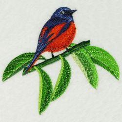 Long Tailed Minivet 2 03(Md) machine embroidery designs