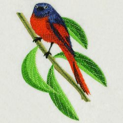 Long Tailed Minivet 2 05(Md) machine embroidery designs