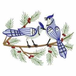 Winter Blue Jay 01(Sm) machine embroidery designs