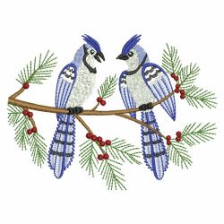 Winter Blue Jay 02(Sm) machine embroidery designs