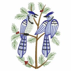 Winter Blue Jay 07(Sm) machine embroidery designs