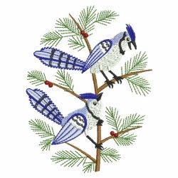 Winter Blue Jay 10(Sm) machine embroidery designs