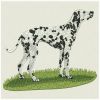 Dalmatians 05