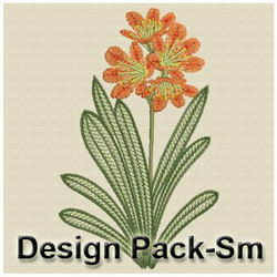 Clivia(Sm) machine embroidery designs