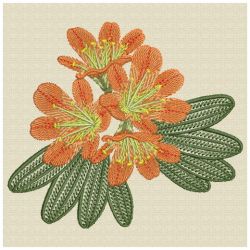 Clivia 02(Sm) machine embroidery designs