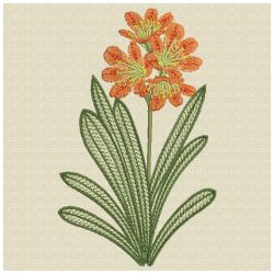 Clivia 03(Lg) machine embroidery designs