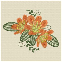 Clivia 06(Md) machine embroidery designs