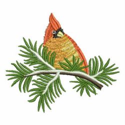 Cardinal 03 machine embroidery designs