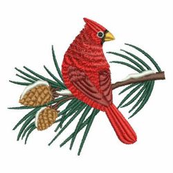 Cardinal 04 machine embroidery designs