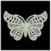 FSL Butterflies 06