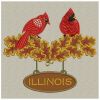 Illinois White Oak and Cardinal 07(Md)