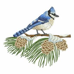 Winter Bluejay 01 machine embroidery designs