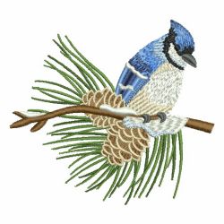 Winter Bluejay 02 machine embroidery designs
