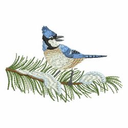 Winter Bluejay 03 machine embroidery designs