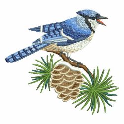 Winter Bluejay 04 machine embroidery designs